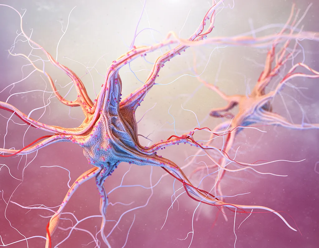 Get a Neurotransmitter Test with Optara Health